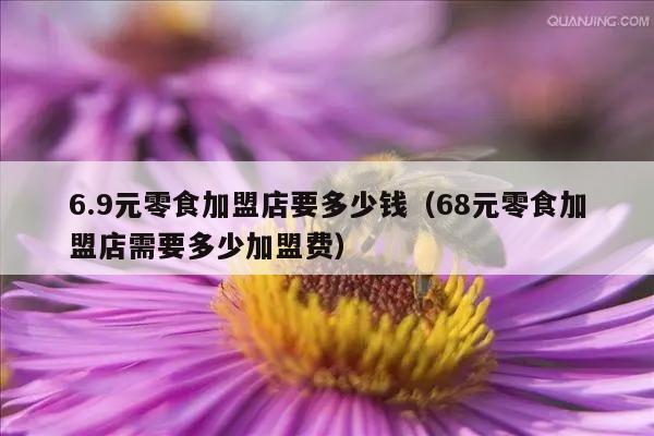 6.9元零食加盟店要多少钱（68元零食加盟店需要多少加盟费）