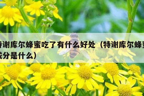 特谢库尔蜂蜜吃了有什么好处（特谢库尔蜂蜜成分是什么）