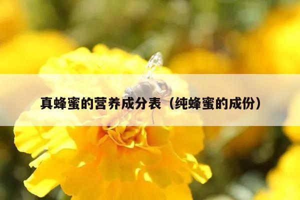 真蜂蜜的营养成分表（纯蜂蜜的成份）