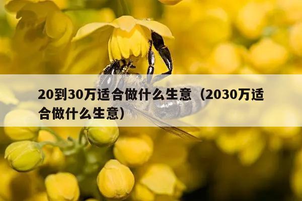 20到30万适合做什么生意（2030万适合做什么生意）