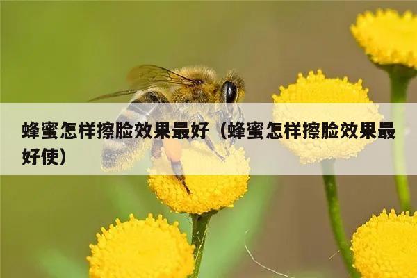 蜂蜜怎样擦脸效果最好（蜂蜜怎样擦脸效果最好使）