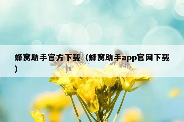 蜂窝助手官方下载（蜂窝助手app官网下载）