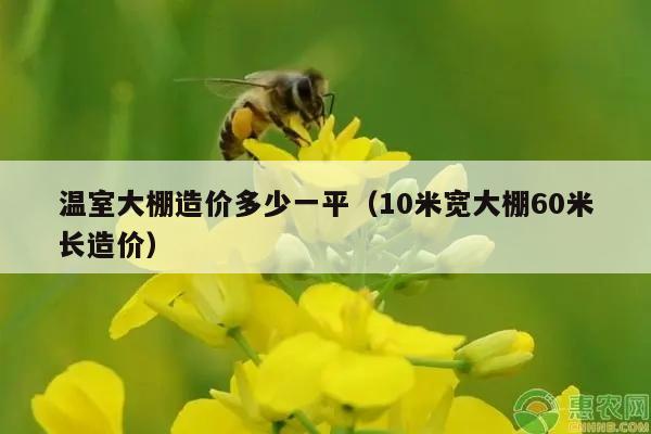 温室大棚造价多少一平（10米宽大棚60米长造价）