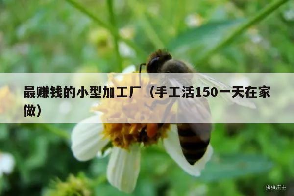 最赚钱的小型加工厂（手工活150一天在家做）