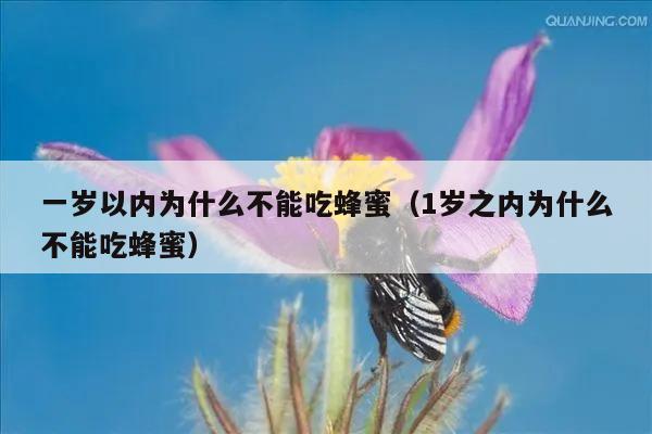 一岁以内为什么不能吃蜂蜜（1岁之内为什么不能吃蜂蜜）