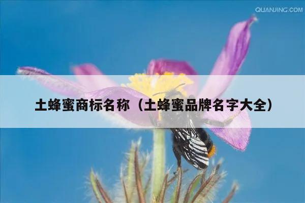 土蜂蜜商标名称（土蜂蜜品牌名字大全）