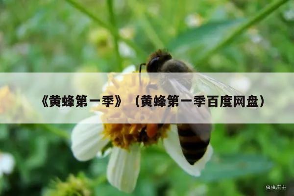 《黄蜂第一季》（黄蜂第一季百度网盘）