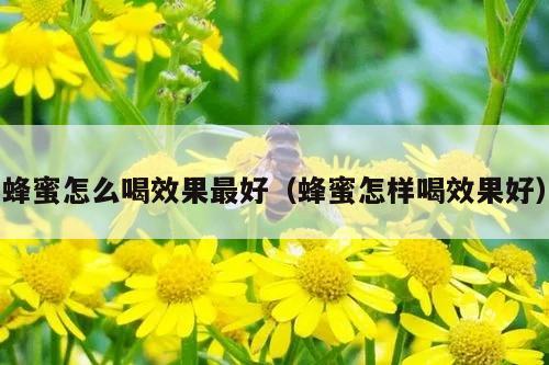 蜂蜜怎么喝效果最好（蜂蜜怎样喝效果好）