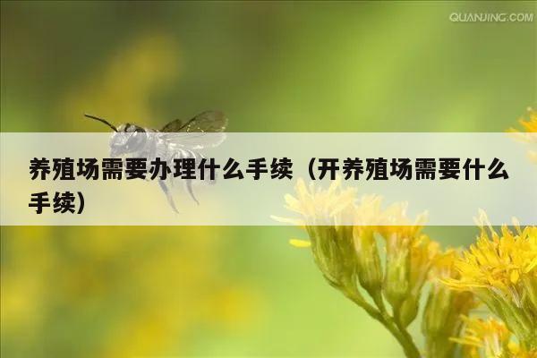 养殖场需要办理什么手续（开养殖场需要什么手续）