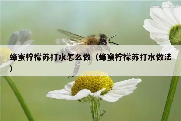 蜂蜜柠檬苏打水怎么做（蜂蜜柠檬苏打水做法）