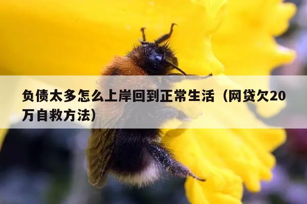 负债太多怎么上岸回到正常生活（网贷欠20万自救方法）