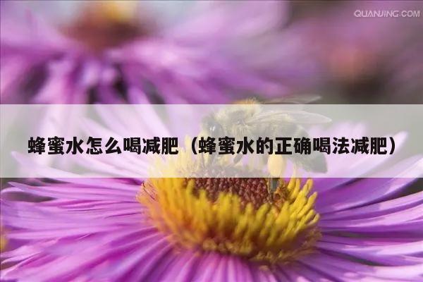 蜂蜜水怎么喝减肥（蜂蜜水的正确喝法减肥）