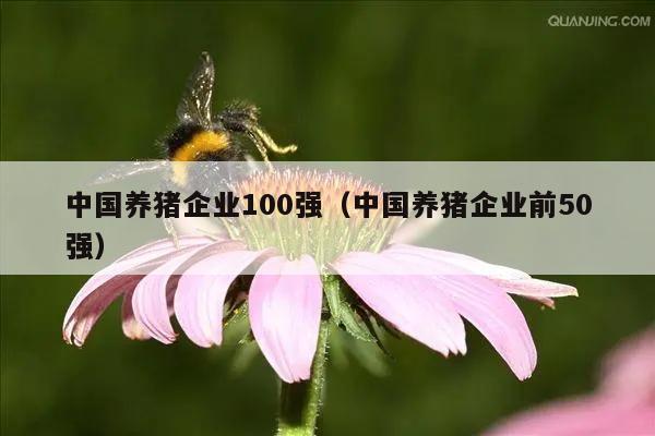 中国养猪企业100强（中国养猪企业前50强）