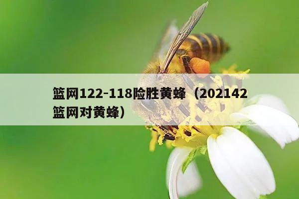 篮网122-118险胜黄蜂（202142篮网对黄蜂）