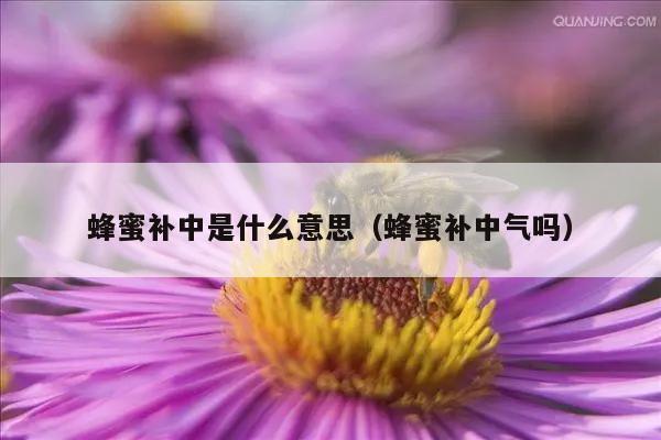 蜂蜜补中是什么意思（蜂蜜补中气吗）