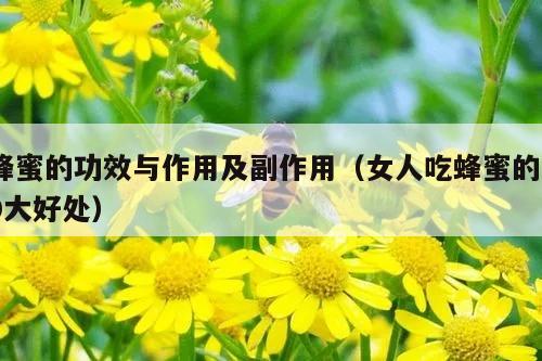 蜂蜜的功效与作用及副作用（女人吃蜂蜜的10大好处）