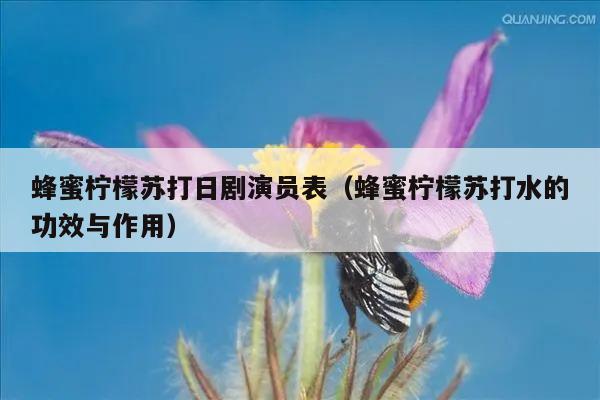 蜂蜜柠檬苏打日剧演员表（蜂蜜柠檬苏打水的功效与作用）