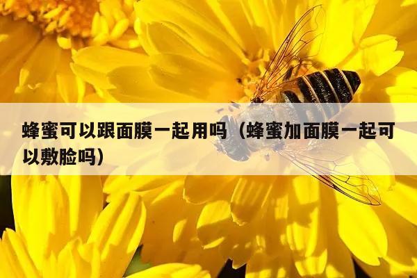 蜂蜜可以跟面膜一起用吗（蜂蜜加面膜一起可以敷脸吗）