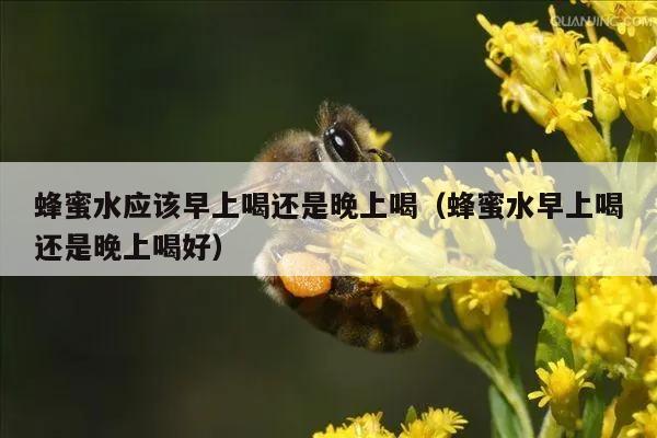 蜂蜜水应该早上喝还是晚上喝（蜂蜜水早上喝还是晚上喝好）