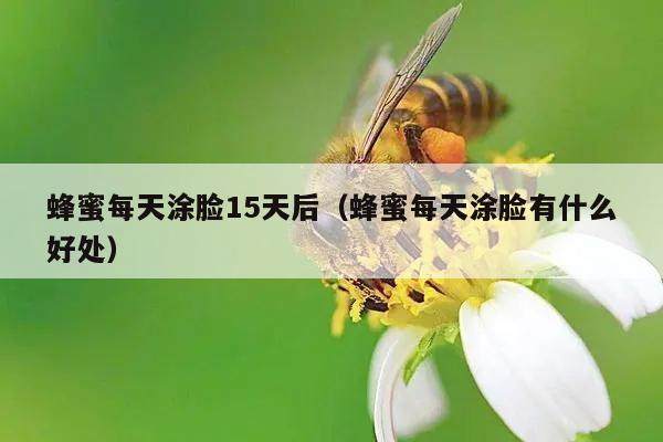 蜂蜜每天涂脸15天后（蜂蜜每天涂脸有什么好处）