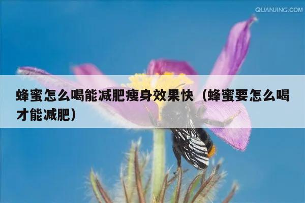 蜂蜜怎么喝能减肥瘦身效果快（蜂蜜要怎么喝才能减肥）