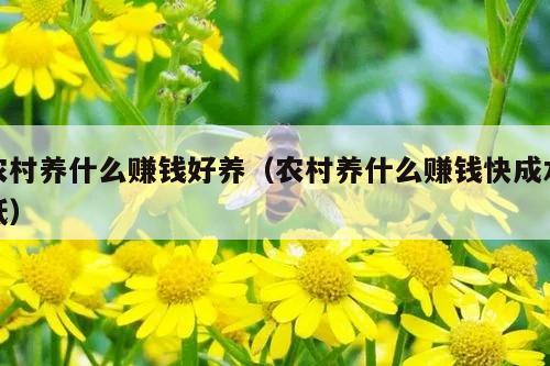 农村养什么赚钱好养（农村养什么赚钱快成本低）