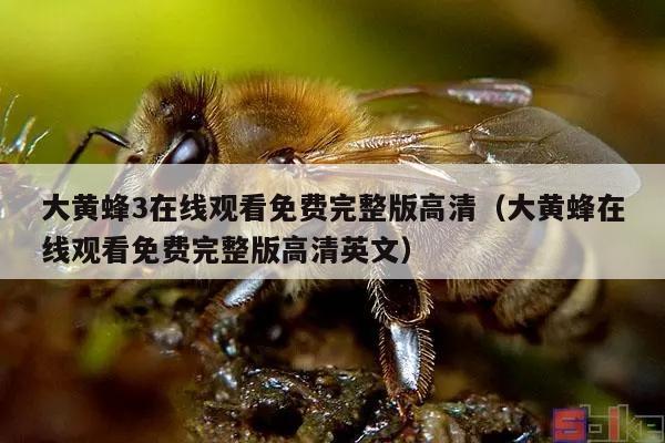 大黄蜂3在线观看免费完整版高清（大黄蜂在线观看免费完整版高清英文）