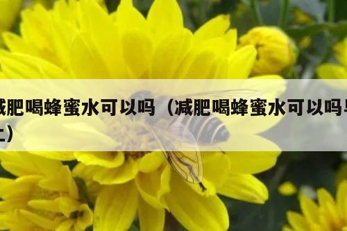 减肥喝蜂蜜水可以吗（减肥喝蜂蜜水可以吗早上）