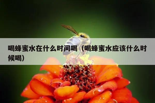 喝蜂蜜水在什么时间喝（喝蜂蜜水应该什么时候喝）