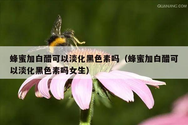 蜂蜜加白醋可以淡化黑色素吗（蜂蜜加白醋可以淡化黑色素吗女生）