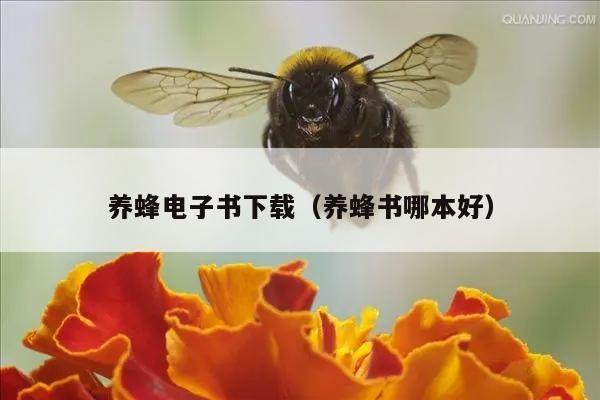 养蜂电子书下载（养蜂书哪本好）