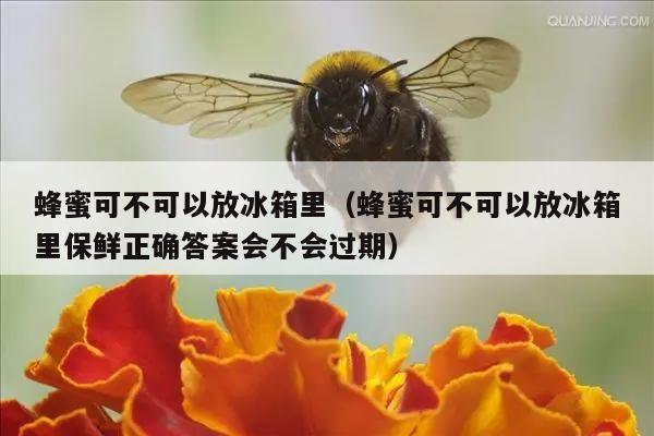 蜂蜜可不可以放冰箱里（蜂蜜可不可以放冰箱里保鲜正确答案会不会过期）