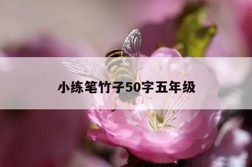 小练笔竹子50字五年级