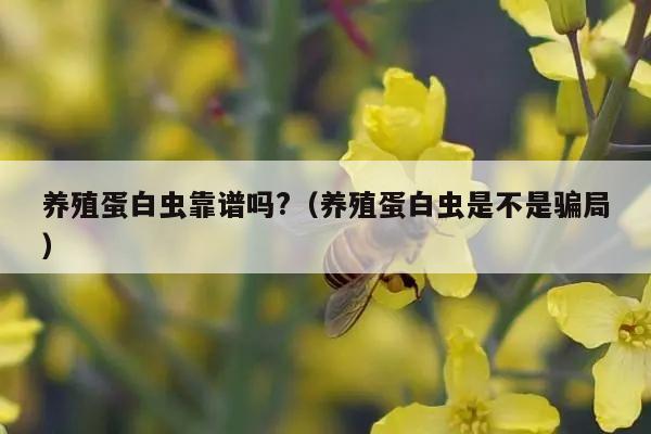 养殖蛋白虫靠谱吗?（养殖蛋白虫是不是骗局）