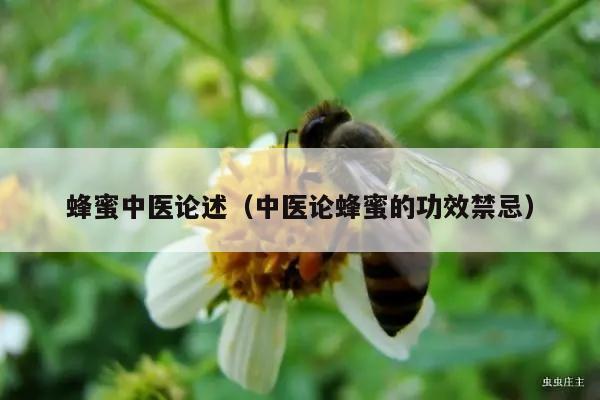 蜂蜜中医论述（中医论蜂蜜的功效禁忌）