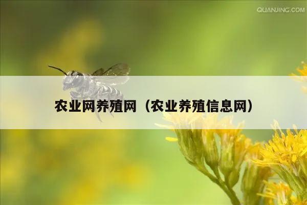 农业网养殖网（农业养殖信息网）