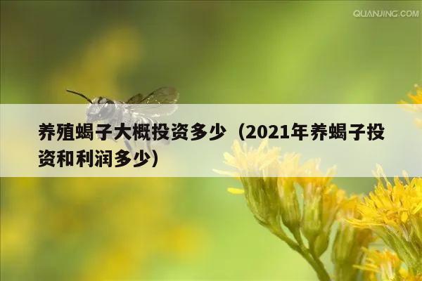 养殖蝎子大概投资多少（2021年养蝎子投资和利润多少）