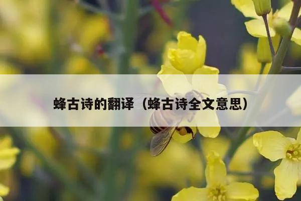 蜂古诗的翻译（蜂古诗全文意思）