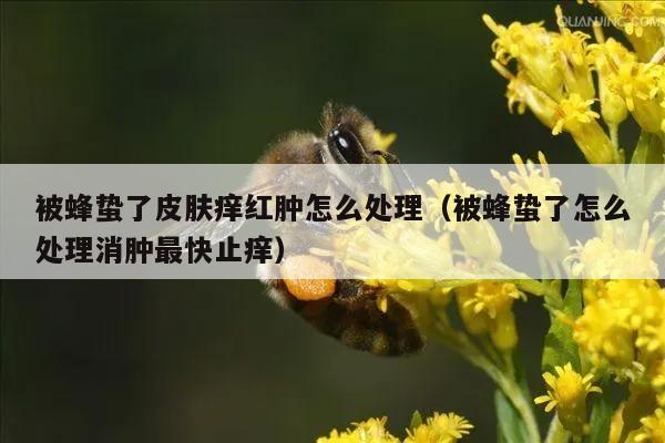 被蜂蛰了皮肤痒红肿怎么处理（被蜂蛰了怎么处理消肿最快止痒）