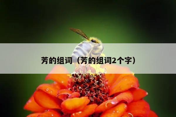 芳的组词（芳的组词2个字）