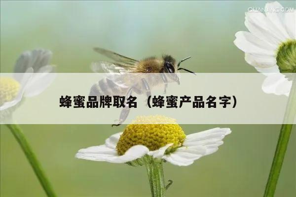 蜂蜜品牌取名（蜂蜜产品名字）