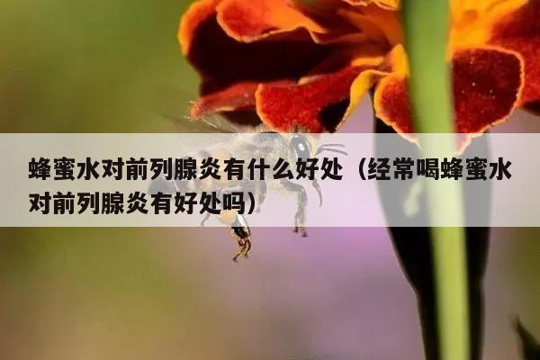 蜂蜜水对前列腺炎有什么好处（经常喝蜂蜜水对前列腺炎有好处吗）