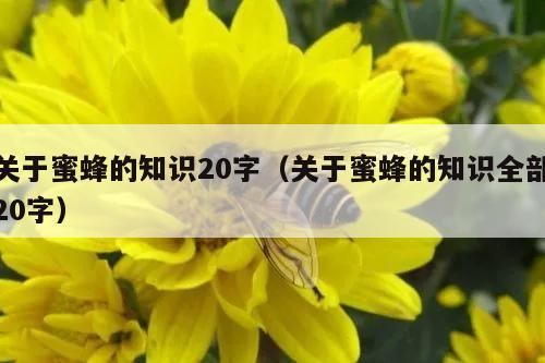 关于蜜蜂的知识20字（关于蜜蜂的知识全部20字）