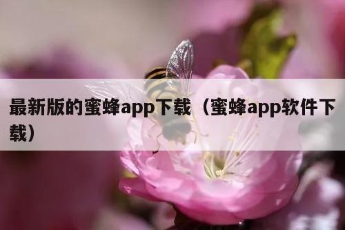 最新版的蜜蜂app下载（蜜蜂app软件下载）