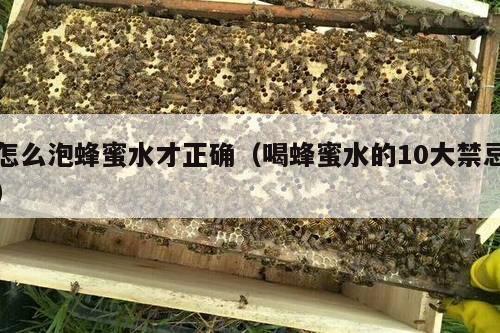 怎么泡蜂蜜水才正确（喝蜂蜜水的10大禁忌）