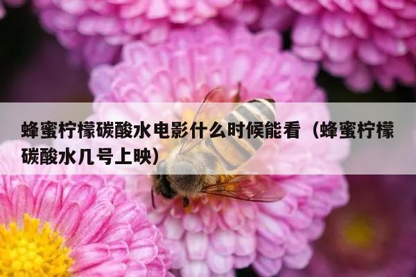 蜂蜜柠檬碳酸水电影什么时候能看（蜂蜜柠檬碳酸水几号上映）