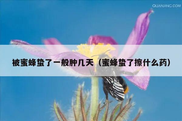 被蜜蜂蛰了一般肿几天（蜜蜂蛰了擦什么药）