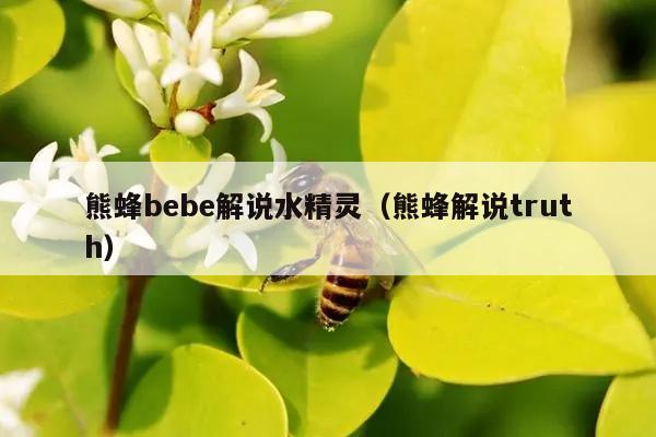 熊蜂bebe解说水精灵（熊蜂解说truth）