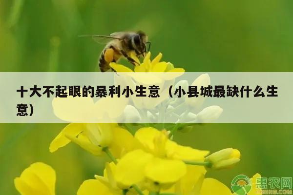 十大不起眼的暴利小生意（小县城最缺什么生意）