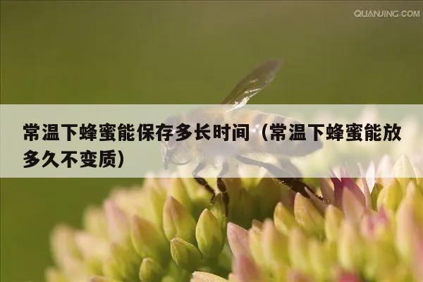 常温下蜂蜜能保存多长时间（常温下蜂蜜能放多久不变质）